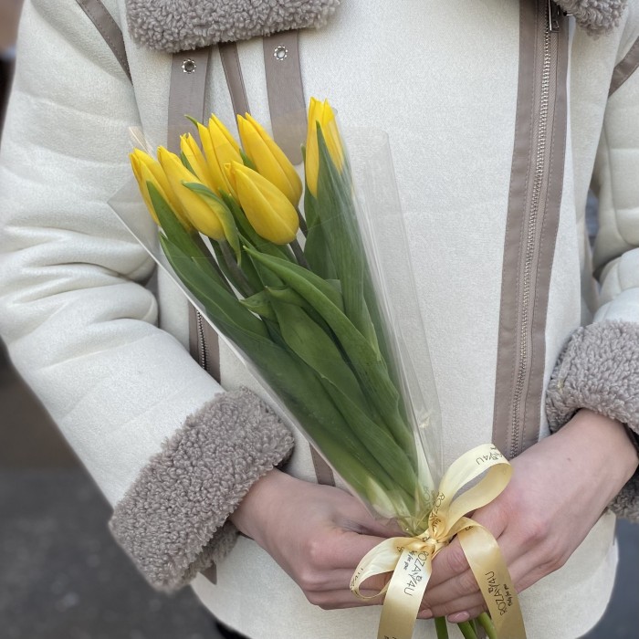 7 желтых тюльпанов в пленке